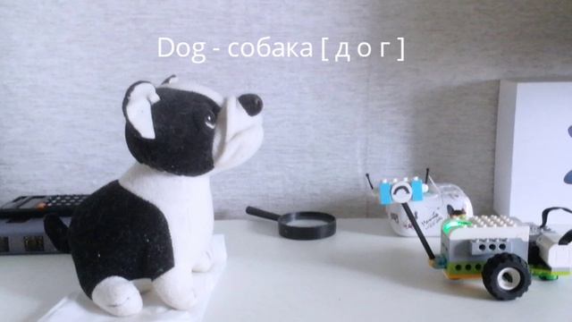 Учим английский с Майло, 1 сезон 4 серия