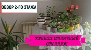 #стеллаж ОБЗОР 2-ГО ЭТАЖА!КУПИЛА ОТЛИЧНЫЙ СТЕЛЛАЖ! #обзор#второй_этаж#комнатные_растения_на_втором