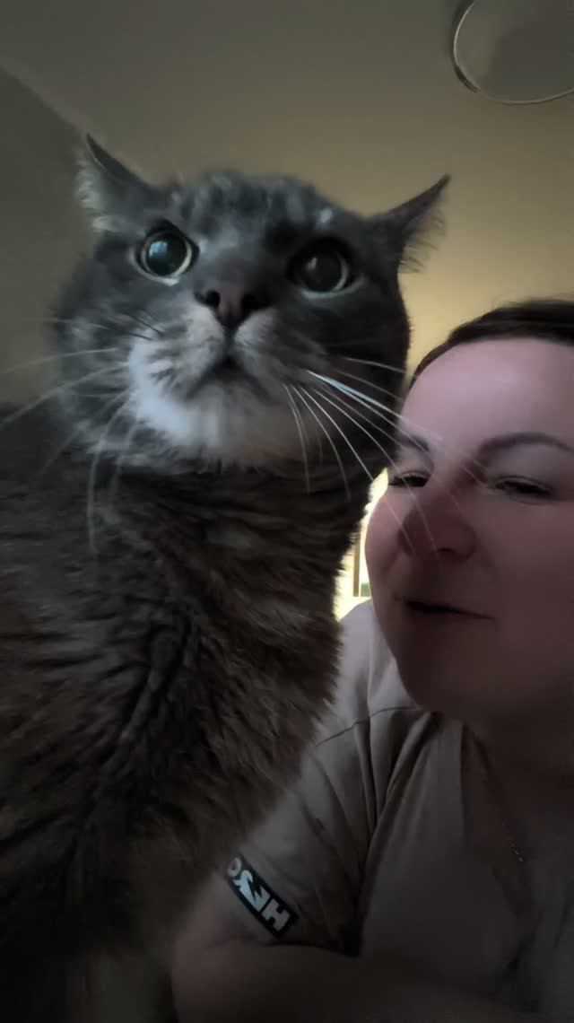 Мой любимый котик - Микки ❤️