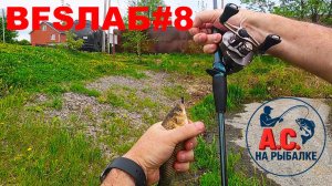 BFS ЛАБ #8 - И это мы тоже можем!: Долгожданный карась на мормышку