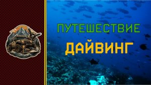 Путешествие - Дайвинг Мальдивы
