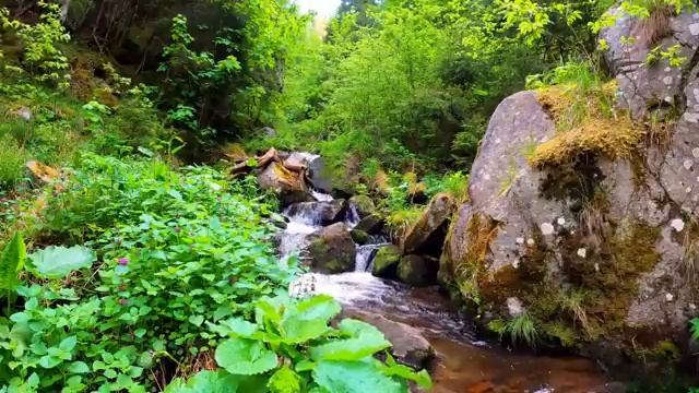 Оркестр Поля Мориа Сборник Лучших Мелодий .