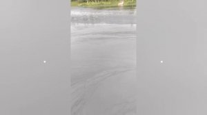 Нефтяной дождь Рыбинске стал не единственным экологическим последствием атаки дронов на хранилище