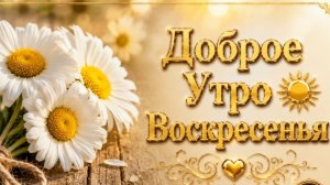 С добрым утром воскресенья. Красивая музыкальная открытка.