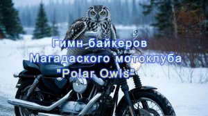 Полярные совы Heavy Rock