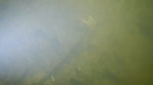 Затопленный рудник с Урск