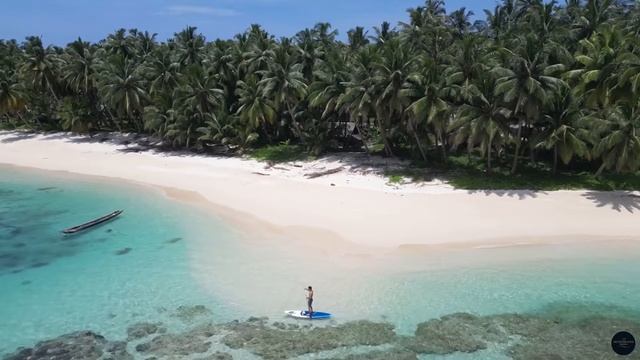 Tropical Oasis 🌴 - Gentle Waves & Relaxing Vibes смотреть онлайн