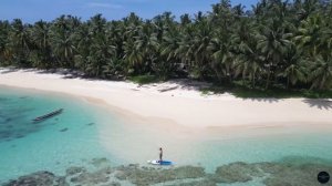 Tropical Oasis 🌴 - Gentle Waves & Relaxing Vibes