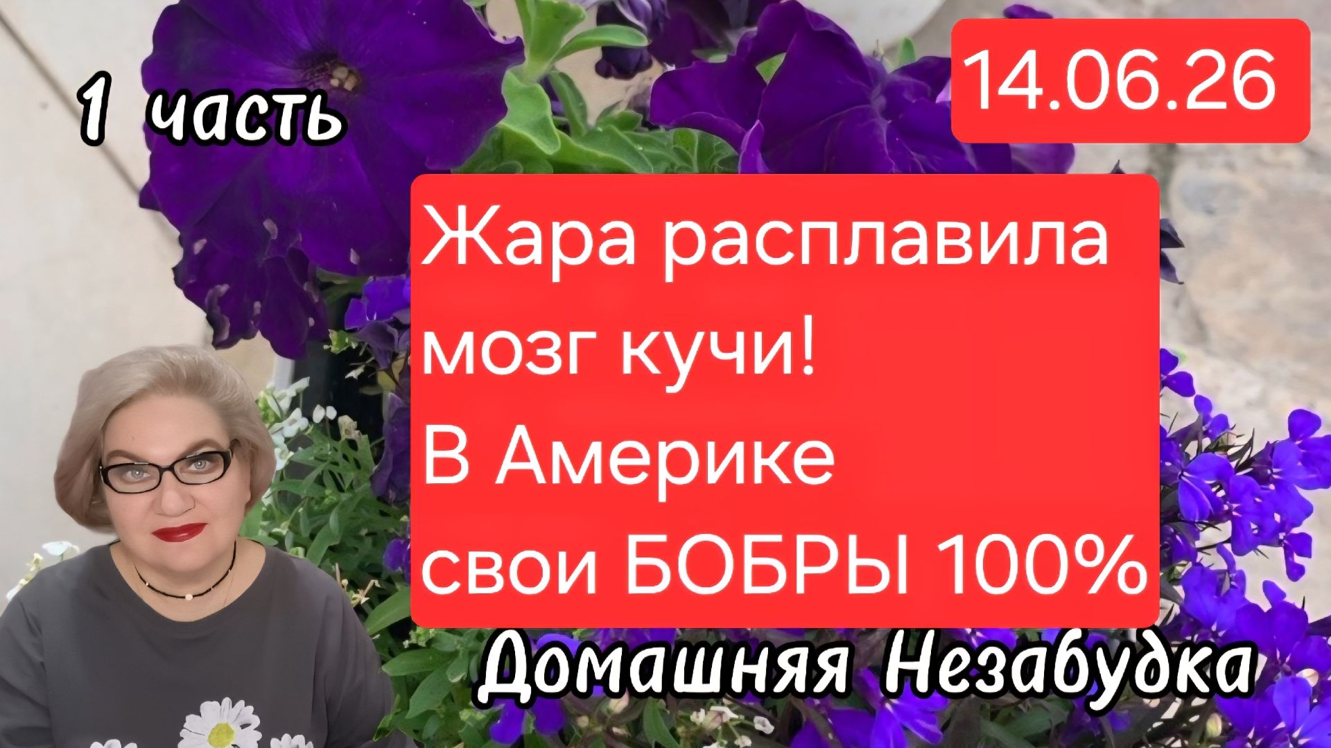 1 часть. Жара расплавила мозг кучи❗️В Америке свои БОБРЫ💯❗️ смотреть онлайн