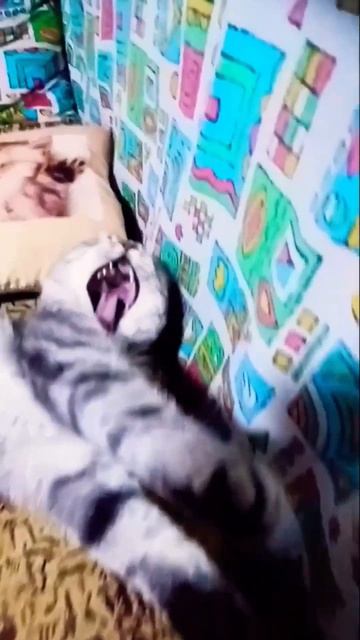 А на что вы живёте?