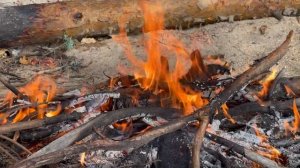 Поездка в лес с подружками. Жарим мясо под дождем))