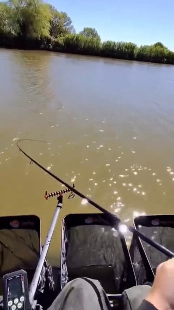 Рыбалка на фидер 🎣