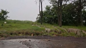 Для СМИ. Кадры вода течёт с поля у дороги