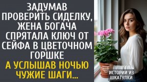 Истории из жизни: Чтобы проверить сиделку, жена богача спрятала ключ от сейфа в цветочном горшке…