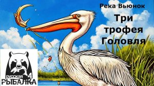 РР4 Голавль, три трофея за ночь, на р. Вьюнок.