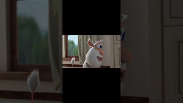 1000005894.mp4