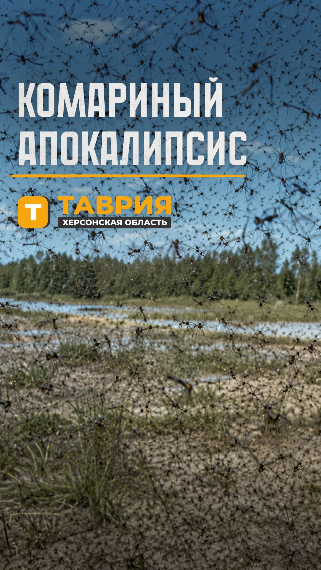 Комариный апокалипсис