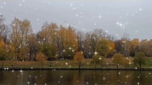 ПОД ЧАРУЮЩИЕ ЗВУКИ САКСОФОНА