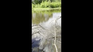 321 Субботник на природе