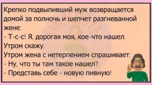 Медведь-судья и Заяц-алкаш: Сборник лучших лесных приколов