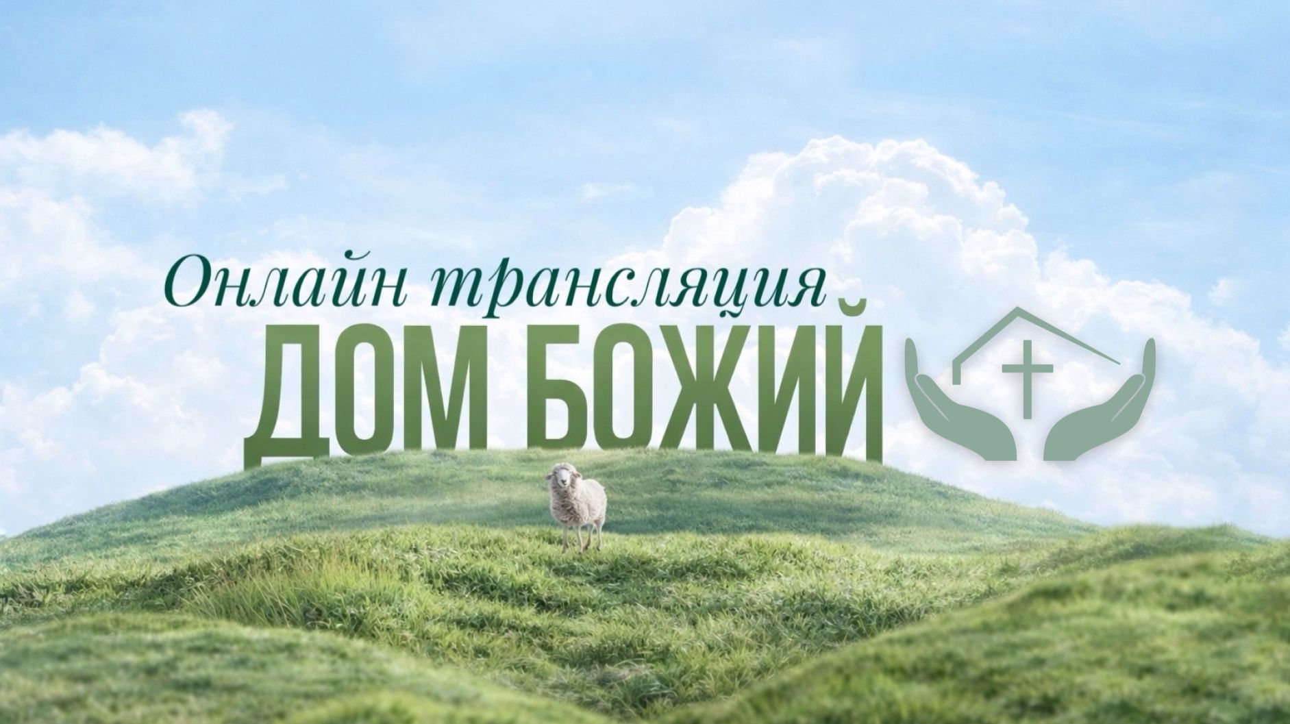 Алиса Кабанова | Выбери свою судьбу