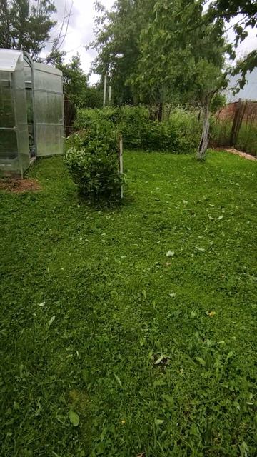 Поднимаем кусты.