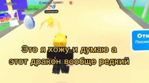1000000900.mp4