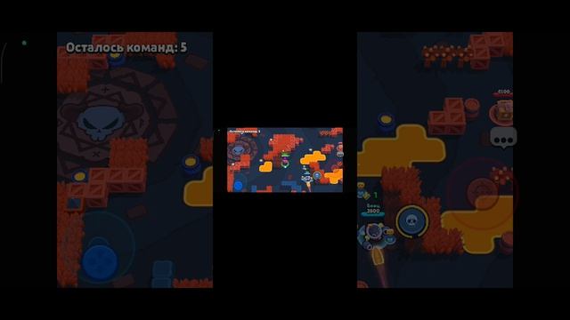 1000015884.mp4