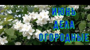 ~10. Обзор сада, огорода {Пора Домой}