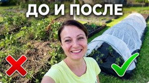 Глаза боятся, а руки делают! Привела в порядок СТРАШНУЮ клумбу и высадила весь перец