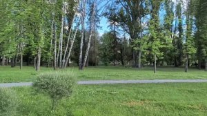 С днём блогера 14.06.26.
