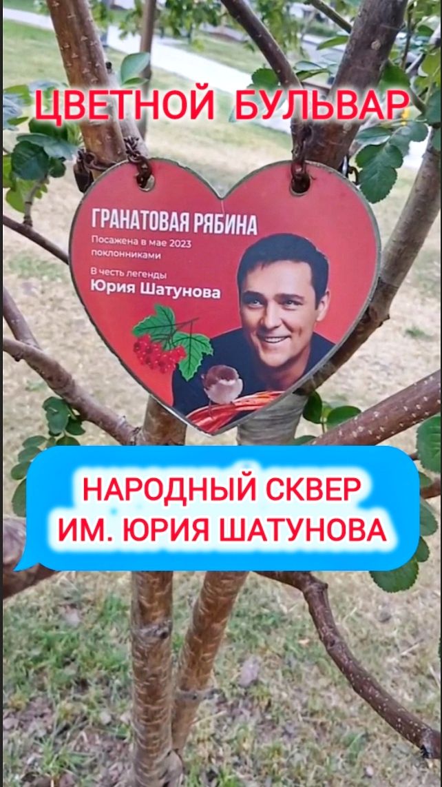 Рябиновая связь живой памяти: Шатунов и Кузнецов #shorts #шатунов #белыерозы #кузнецов #ласковыймай