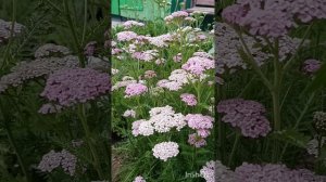в 5 утра хорошее начало дня