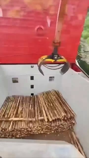 2157. На видео работа по погрузке леса