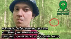 Встретил дикое животное/Заплутал и вышел по офф лайну/Просеки зарастают/Поход 16.05.26
