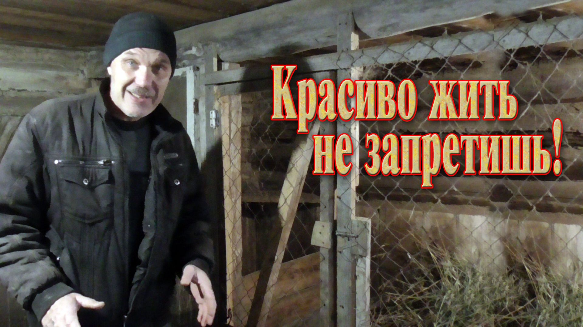 Моя ферма // Содержание свиней // Сделал свиньям шикарную спальню.