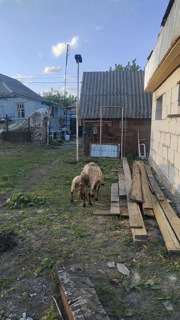 Залили пол. Сделали навес для нового мотоблока смотреть онлайн