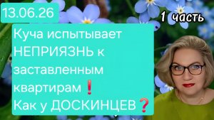 1 часть. Куча испытывает НЕПРИЯЗНЬ к заставленным квартирам❗️Как у ДОСКИНЦЕВ❓️
