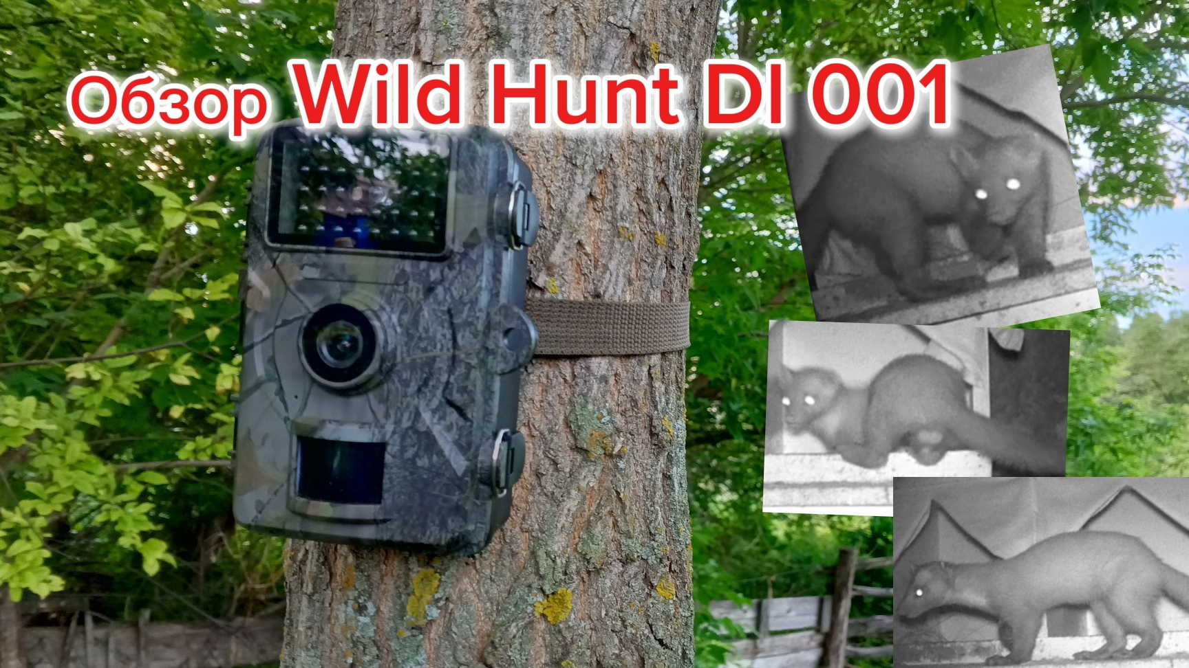 Обзор и настройка фотоловушки Wild Hunt DL 001. смотреть онлайн