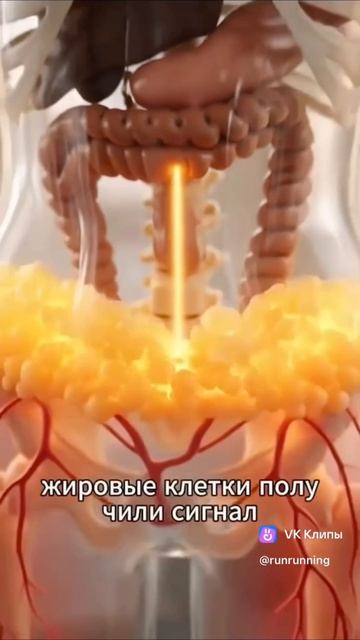 разное о себе