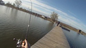 Fario NT Trout 1.98 2-8