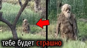 (КОТЫ ЮТУБЕРЫ) Самые Ужасные Видео со Всего Мира