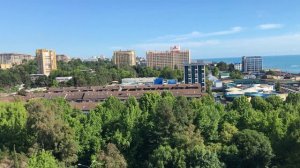 Шестой день. Процедуры, Стая собак.Персонал отеля. Кормим голубей.