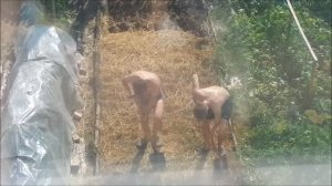 Двое из ларца