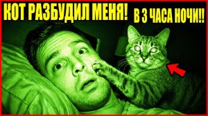 🐱 Кошки против сна 😴 Пробуждения в 3 ЧАСА НОЧИ 🌙 Смешная подборка Кошки 🐾 смешные видео. Приколы