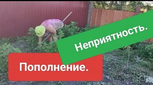 Насыщенный день. Обожаю розы. Жизнь на пенсии.