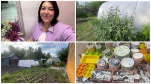 ОТКРОВЕННО ПРО ДЕНЬГИ ПРО ДАЧУ/🤪Я НИЧЕГО НЕ УМЕЮ/🦋Огород атаковали полчища белых бабочек