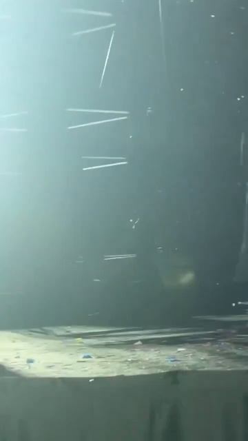 Очень волнительный и трогательный момент на концерте BTS💜🫶