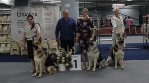 Сравнение на ЛПП