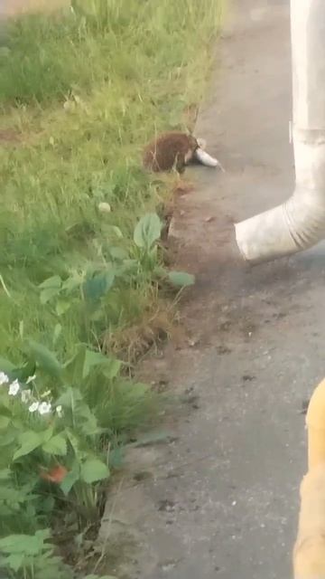 1000018112.mp4 смотреть онлайн